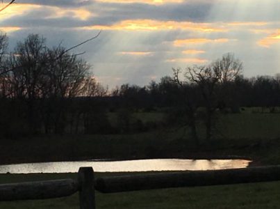 Around My Missouri Farm